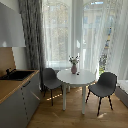 公寓 River House Center 考纳斯