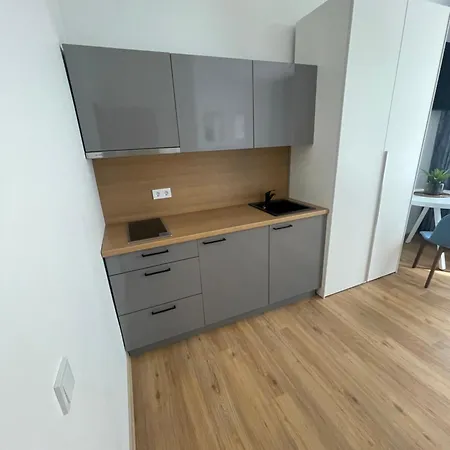 Apartment River House Center Kaunas