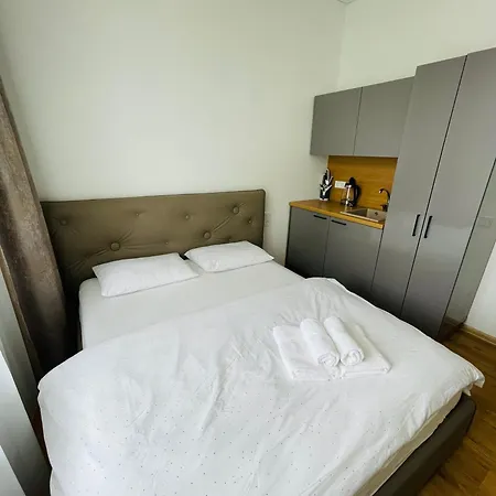 公寓 River House Center 考纳斯