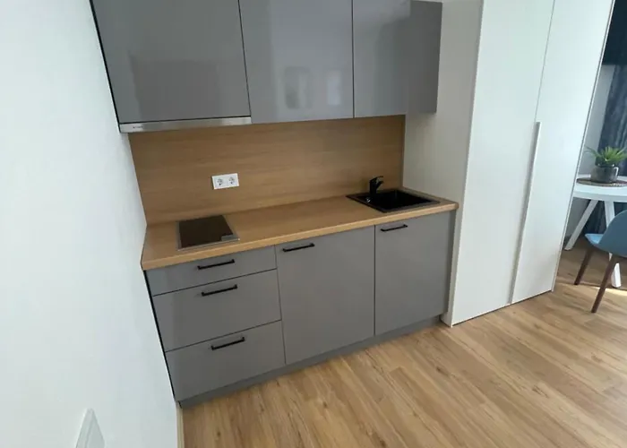 Daire River House Center Kaunas